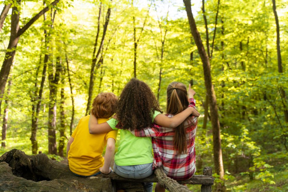 سه کودک در کنار هم در جنگلی سبز نشسته و از تماشای طبیعت لذت می‌برند.